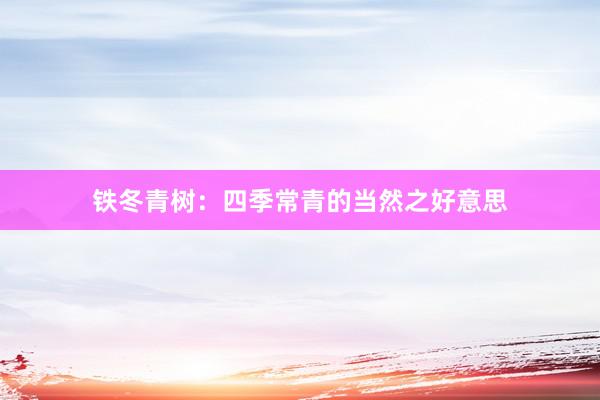 铁冬青树:四季常青的当然之好意思