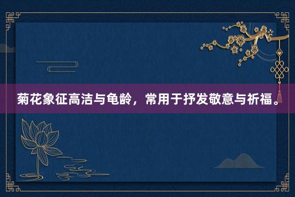 菊花象征高洁与龟龄,常用于抒发敬意与祈福。