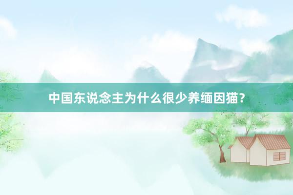 中国东说念主为什么很少养缅因猫？